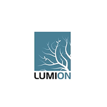 Lumion Pro
