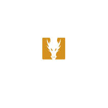 Dragonframe 4
