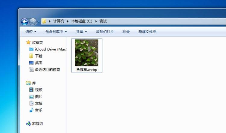 查看webp格式图片