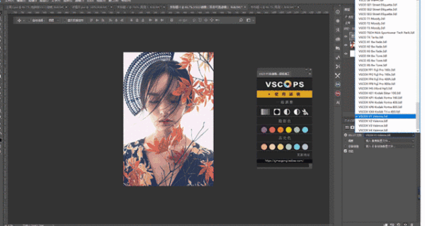 【PS插件】VSCO 186款滤镜 一键调色完美预设