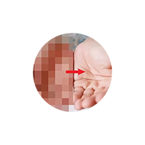 JavPlayerTrial