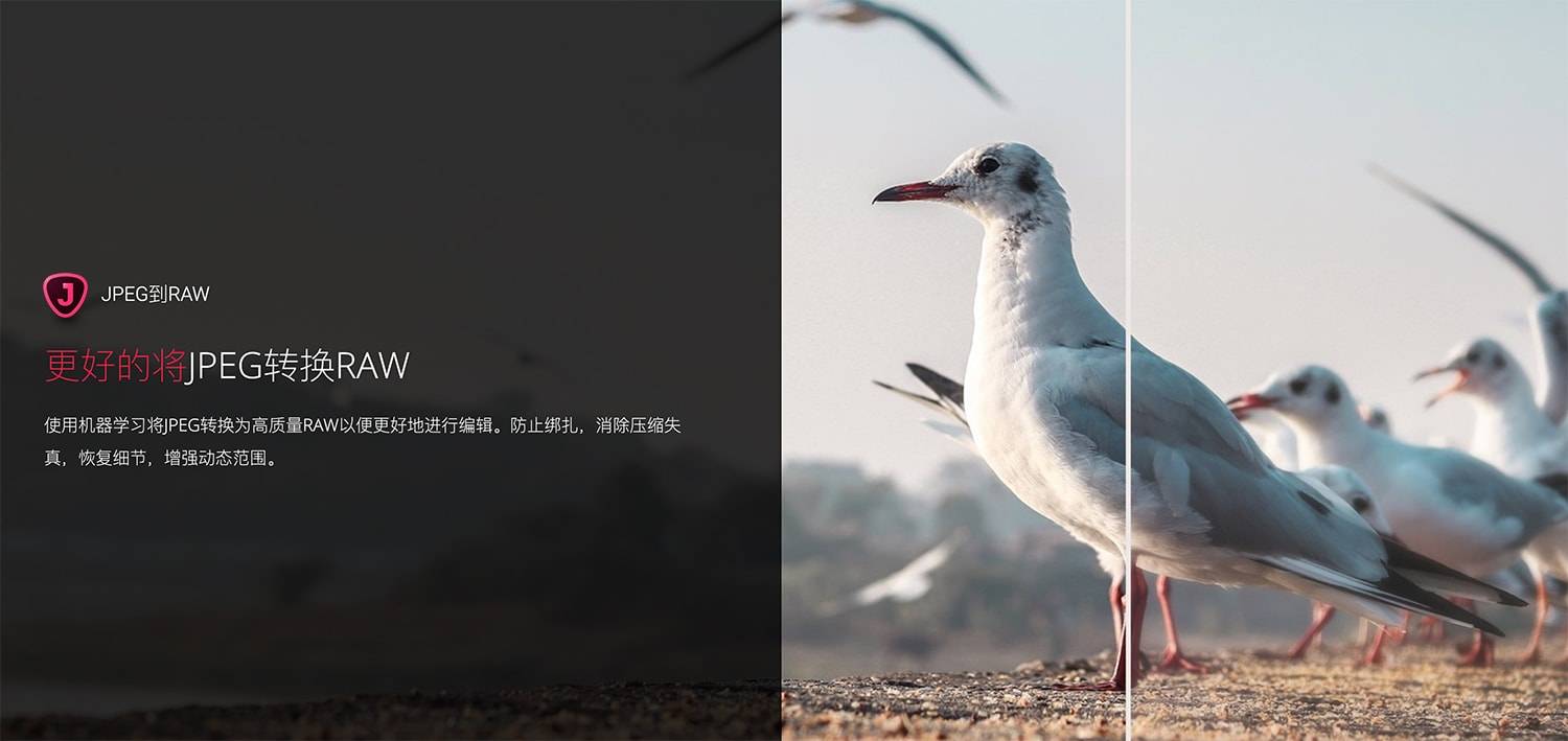Topaz JPEG to RAW AI.v2.2.1 JPEG转RAW压缩失真恢复颜色细节