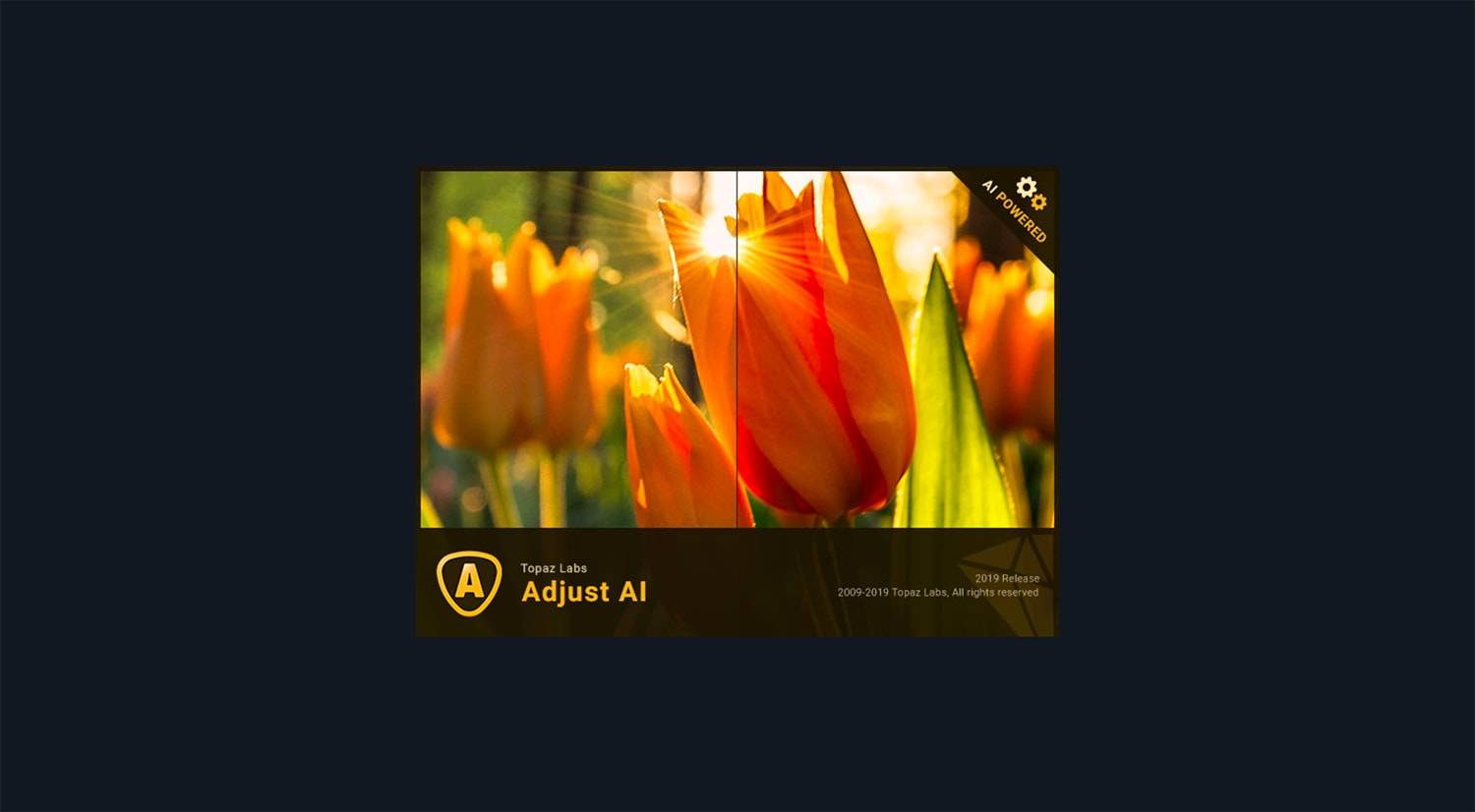 Topaz Adjust AI v1.0.5 HDR滤镜处理工具