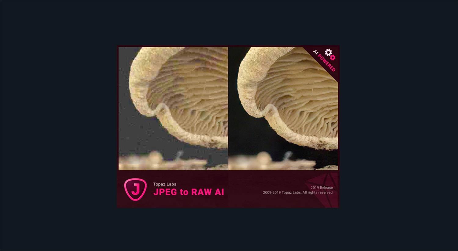 Topaz JPEG to RAW AI.v2.2.1 JPEG转RAW压缩失真恢复颜色细节