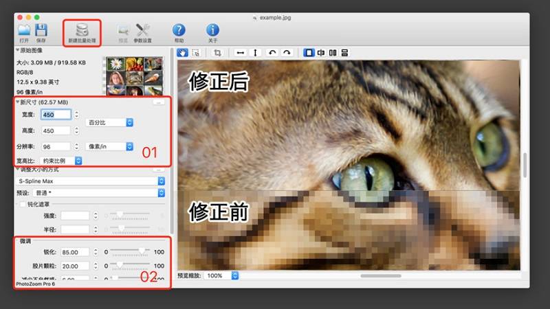 PhotoZoom Pro 7 图片无损放大工具