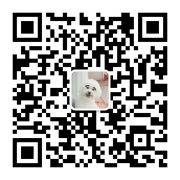iOS 人机界面指南精简版笔记之界面元素:Bars