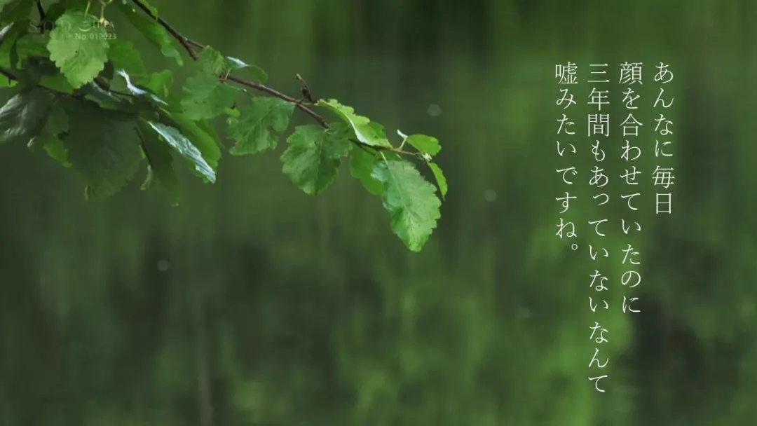 今天,我们扒一扒AV封面中的设计美学!