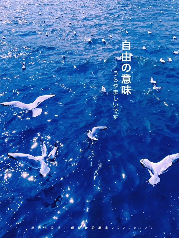 拍一张照片,就能设计成一幅海报!