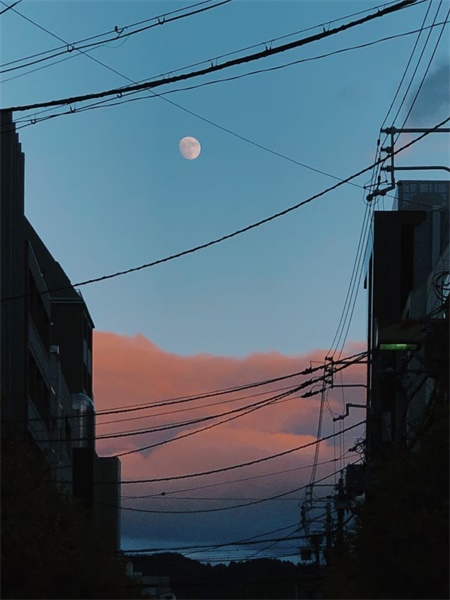 我从初冬的日本提取颜色,得到了这组色卡