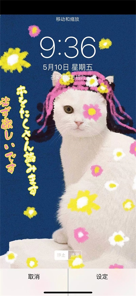 拍一张照片,就能设计成一幅海报,这种技能要不要?