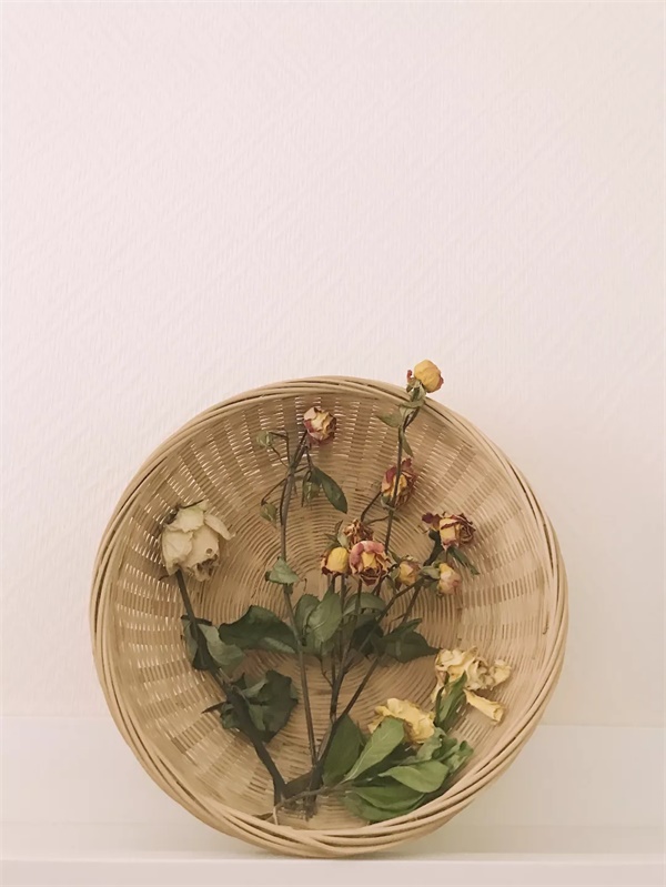 拍一张照片,就能做出一幅海报!