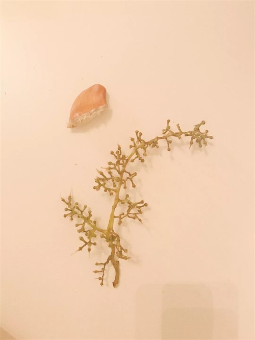 拍一张照片,就能做出一幅海报!