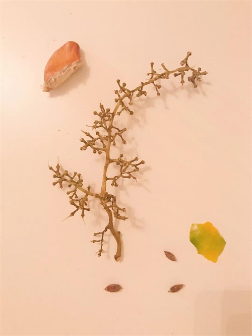 拍一张照片,就能做出一幅海报!