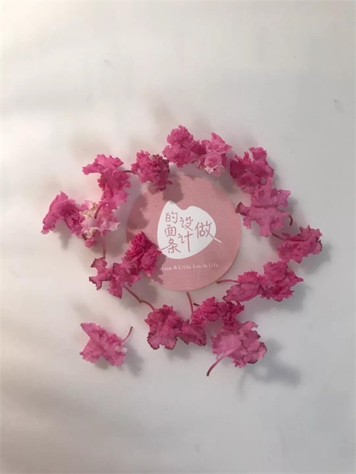 拍一张照片,就能做出一幅海报!