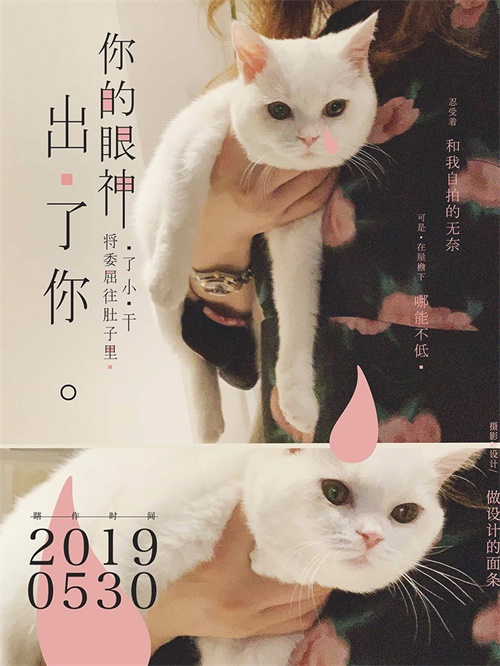 拍一张照片,就能设计成一幅海报!这个技能太好玩了!