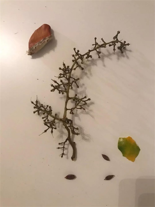 拍一张照片,就能做出一幅海报!