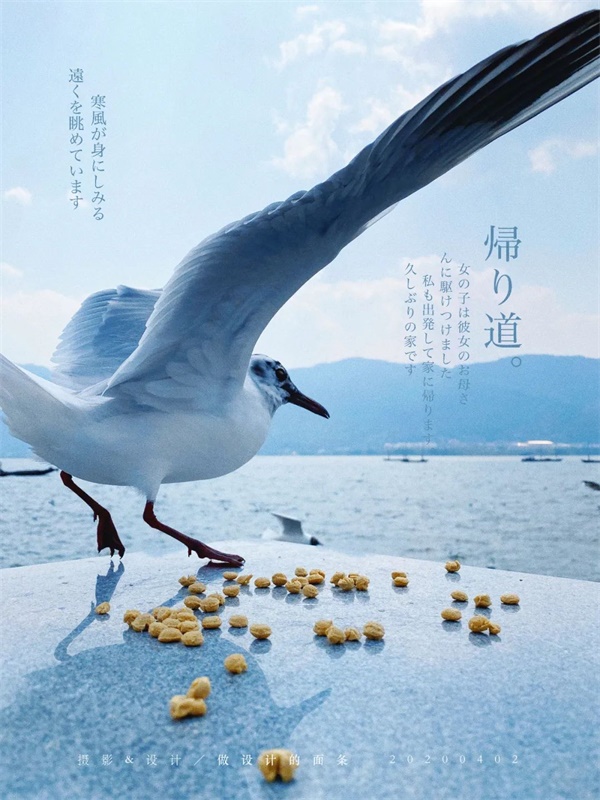 拍一张照片,就能设计成一幅海报!