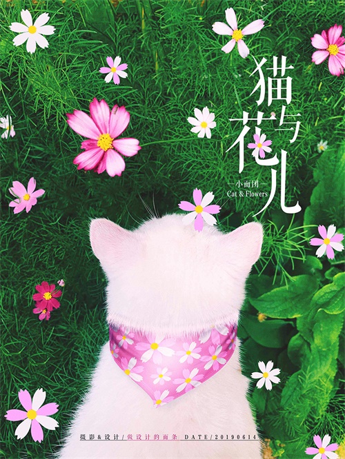 拍一张照片,就能设计成一幅海报!这个技能太好玩了!