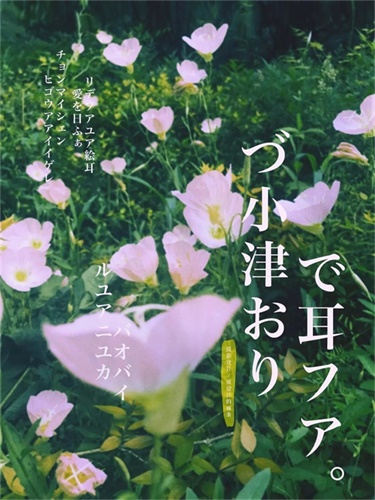 拍一张照片,就能设计成一张海报!