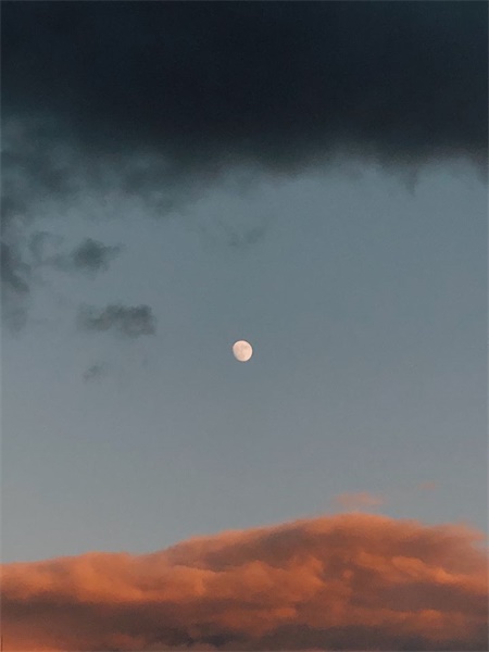 我从初冬的日本提取颜色,得到了这组色卡