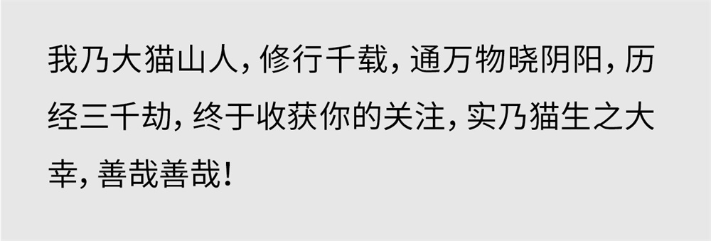 写给新手的版式设计基础指南(一):表现力