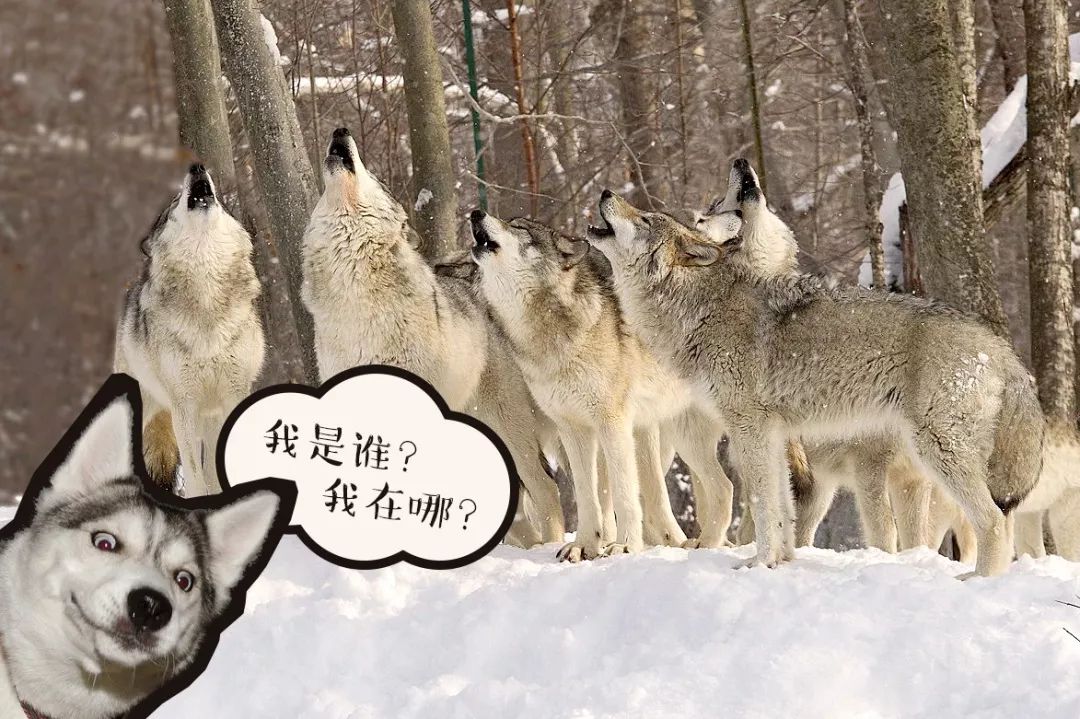 想要版面统一?用这九种手法盘它!