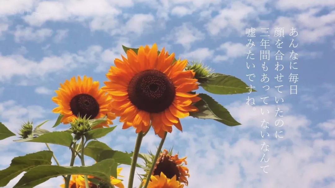 今天,我们扒一扒AV封面中的设计美学!