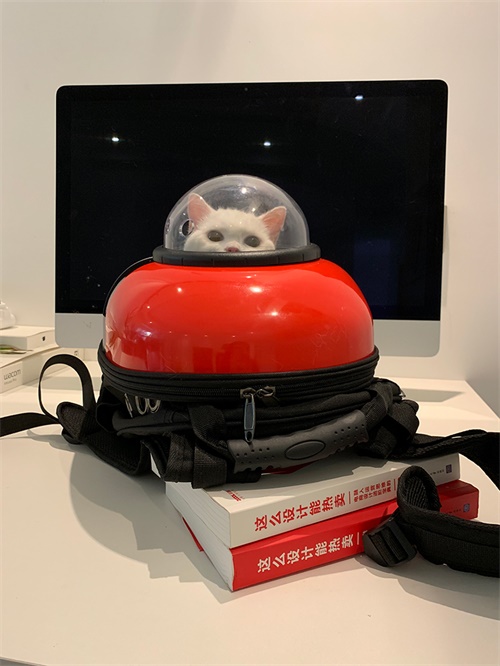 拍一张照片,就能设计成一幅海报!这个技能太好玩了!