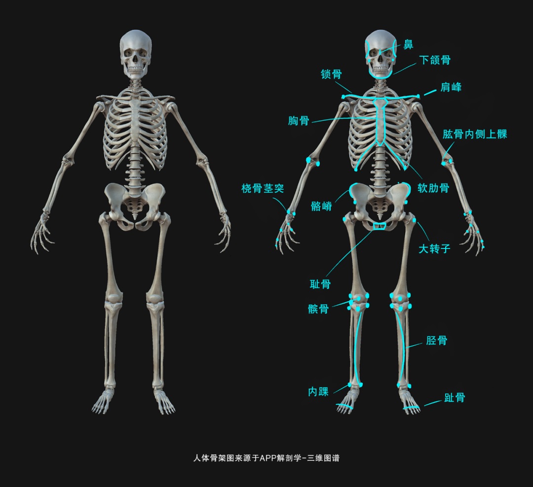 如何让人物插画更有动感？来看这篇字节跳动的实战总结！