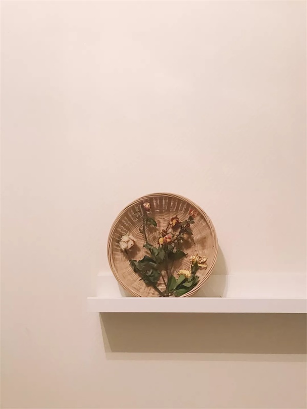 拍一张照片,就能做出一幅海报!