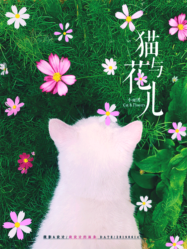 拍一张照片,就能设计成一幅海报!这个技能太好玩了!