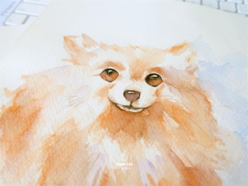 水彩自学第三集:水彩笔常见问题及测评