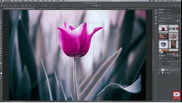 看完Adobe Max 2019,90%的设计师都把电脑砸了…