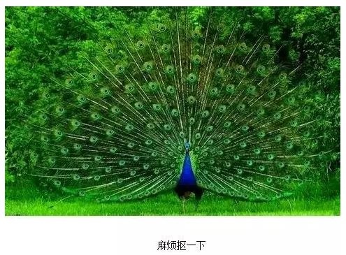 看完Adobe Max 2019,90%的设计师都把电脑砸了…
