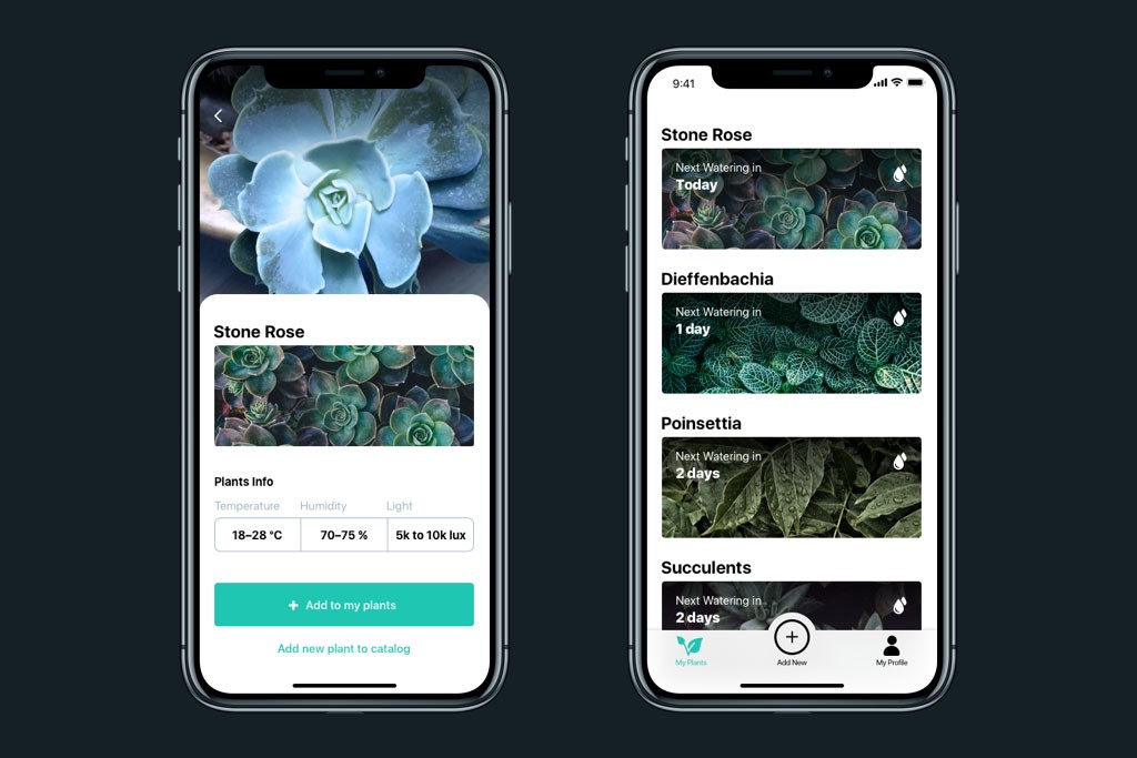 设计实战!这款帮你科学养护绿植的APP是怎样设计出来的