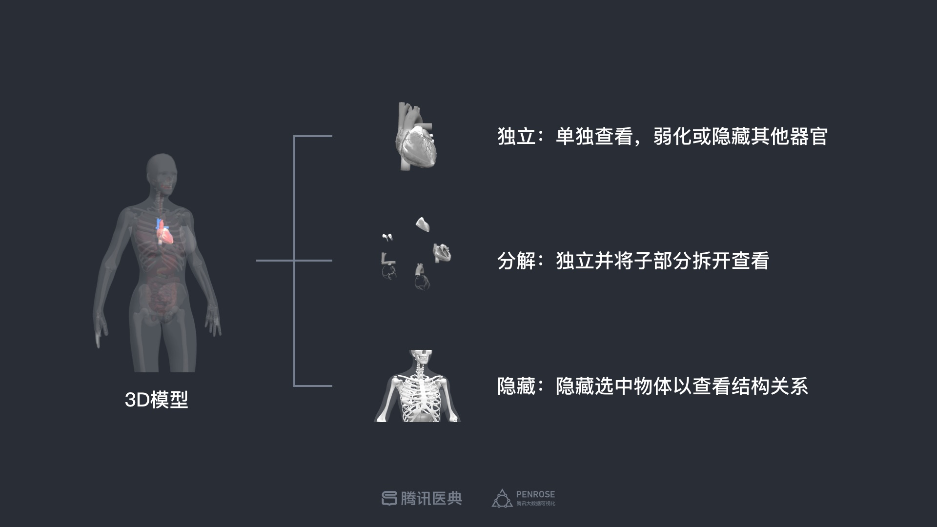 专业的设计流程是怎样的?来看腾讯的医学可视化探索案例!