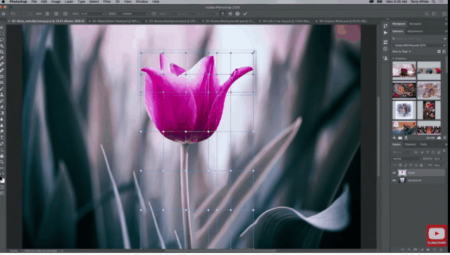看完Adobe Max 2019,90%的设计师都把电脑砸了…
