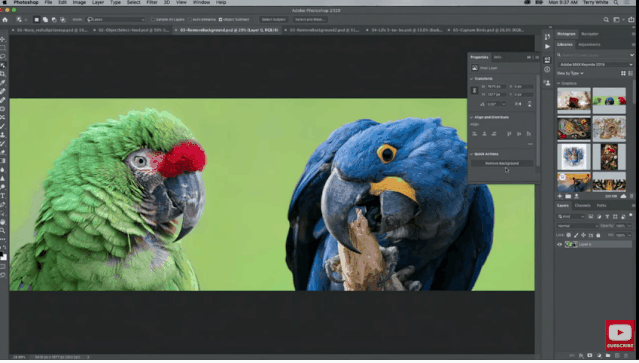看完Adobe Max 2019,90%的设计师都把电脑砸了…