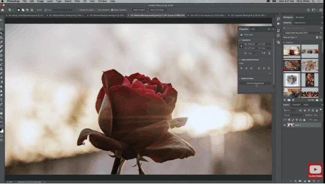看完Adobe Max 2019,90%的设计师都把电脑砸了…