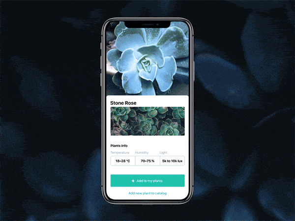设计实战!这款帮你科学养护绿植的APP是怎样设计出来的