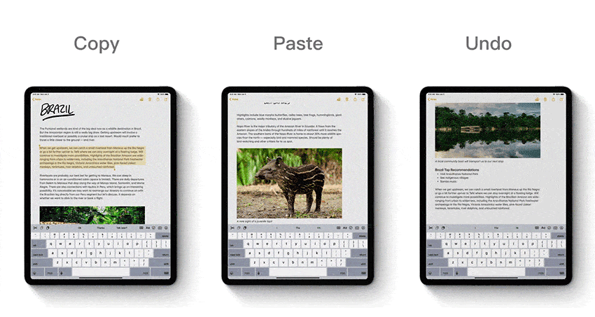还在用 iPad 看剧吗?苹果全新发布的 iPadOS 不止能让你做图了!